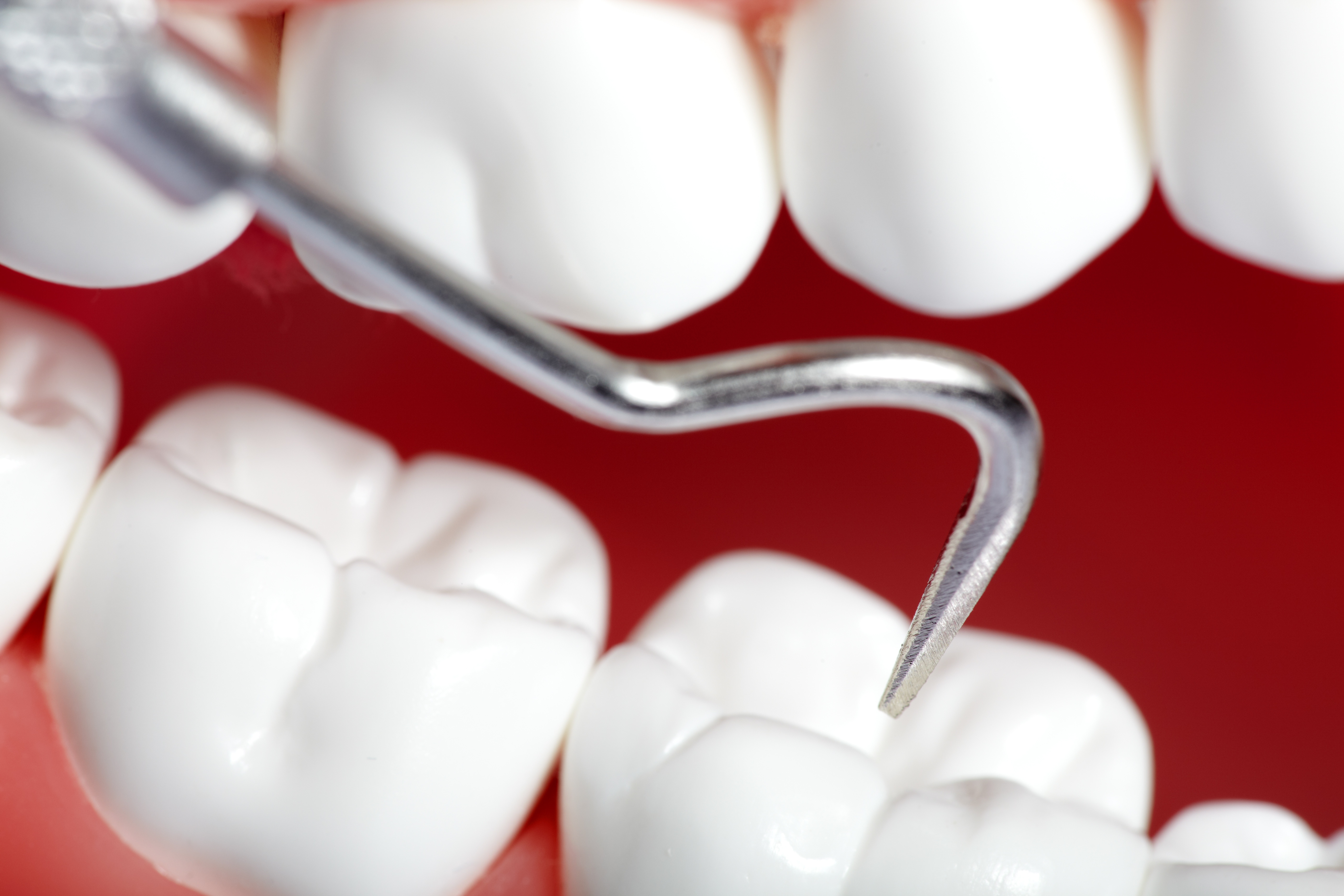 Baltimore Periodontist