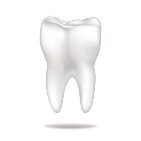 Florence Family Dentistry | Teeth Whitening, Dental Bridges and Periodontal Treatment
