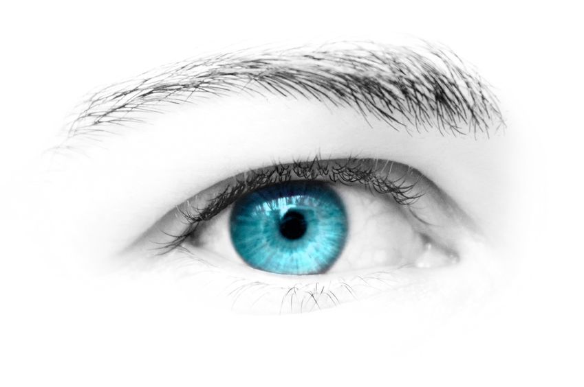 Brook Plaza Ophthalmology | Comprehensive Eye Exams, Diabetic Eye Exams and Quality IOLs