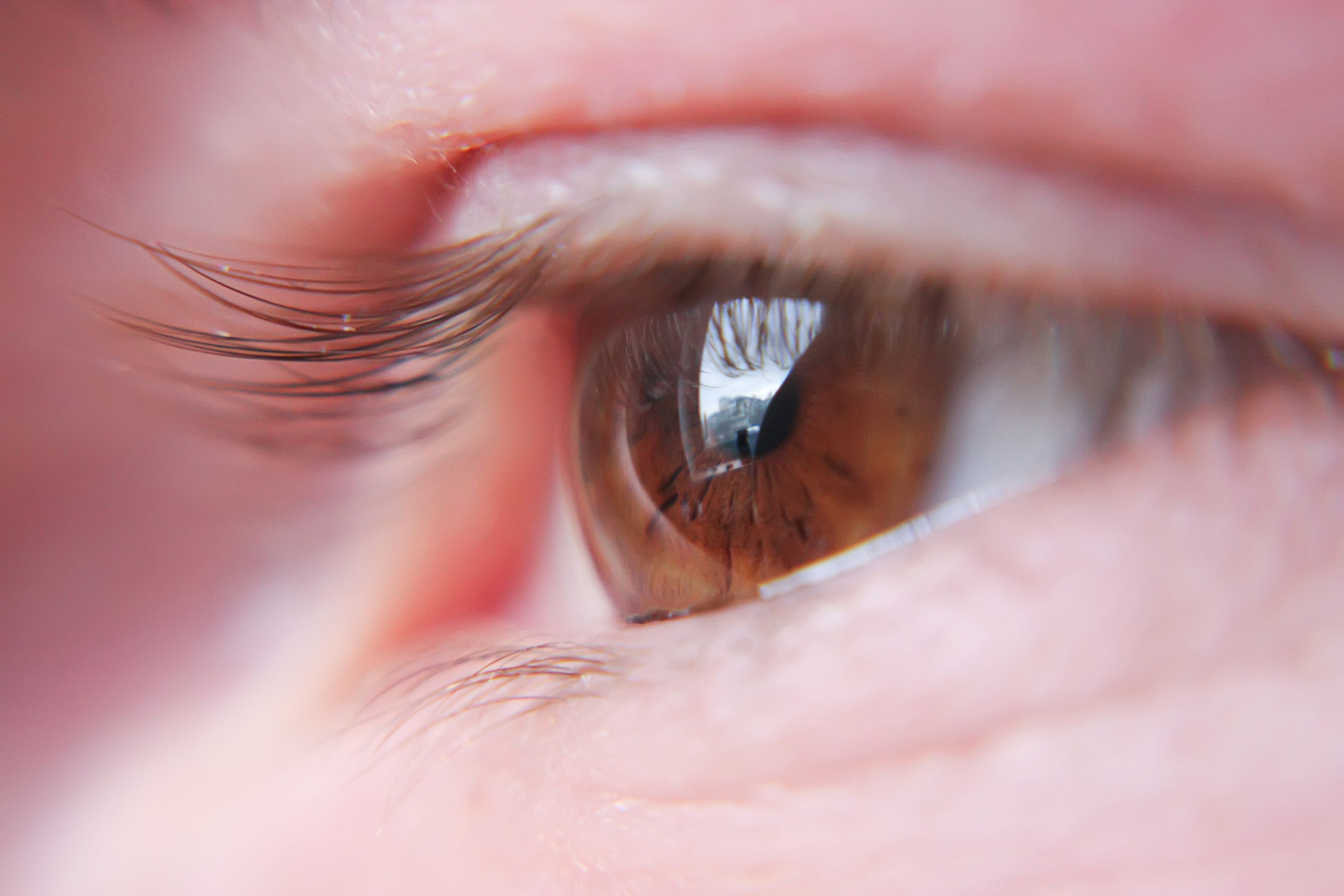 Brook Plaza Ophthalmology | Diabetic Eye Exams, Glaucoma Diagnosis & Management and Quality IOLs